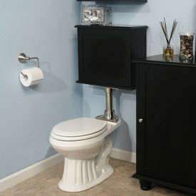 Image of porcelain toilet with old world black tank