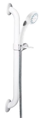 ADA compliant grab bar hand shower