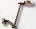 Alsons Delta adjustable rain shower head