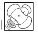 Americh cloverleaf combination system