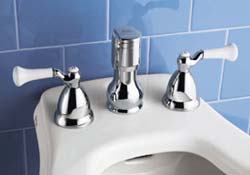 American Standard bidet faucet