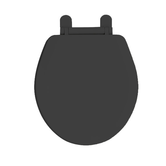 EverClean Plastic Toilet Seats for American Standard Toilets in Black/Onyx 5320011178