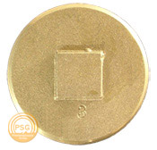 Cleanout Plug
