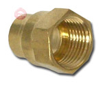 Female Adapter