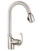 Image of Danze Anu Pull-Out Spout Kitchen Faucet