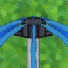 drip irrigation