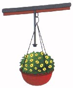 drip irrigation