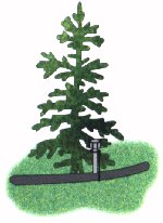drip irrigation
