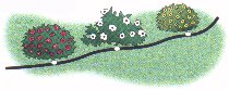 drip irrigation