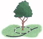 drip irrigation