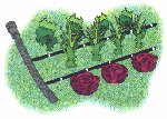 Garden Watering