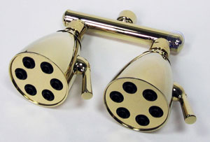 Polished brass 6-jet dual showerhead