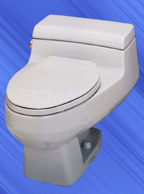 Windsor series toilet