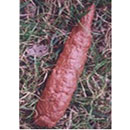 Poop shaped pen