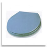 Toilet Seat