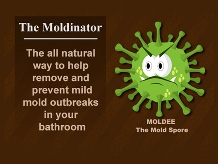 DIY - How to Remove Mold