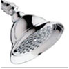 Elements of Design oversized showerhead