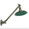 hi-lo downpour shower head
