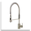 an image of a professional pre-rinse faucet