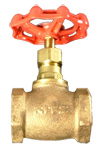 Brass/bronze globe valve