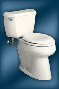 Wellworth Series Toilet