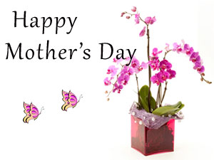 About Mothers Day