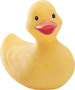 rubber ducky