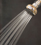 full rain all brass deluxe showerhead