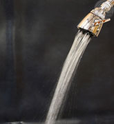 classic 4-jet showerhead - full flood