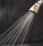 classic 4-jet showerhead - gentle rain