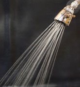 classic 4-jet showerhead - full body