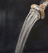 sensational 6-jet euro style showerhead - full flood spray