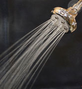 sensational 6-jet euro style showerhead - full rain