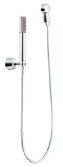 photo of handheld shower, shown in chrome