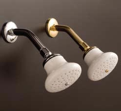 Sign of the Crab shower head