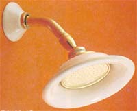 Sign of the Crab shower head