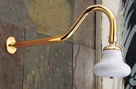 Sign of the Crab porcelain shower head with extended shower arm