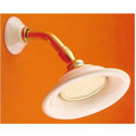 Click here for sunflower showerheads