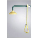 Click here for Speakman emergency shower systems