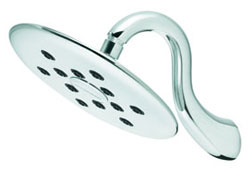 luxury 8-inch downpour showerhead