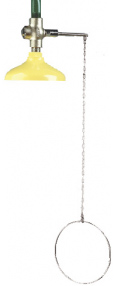 image of the Speakman SE-206 emergency shower with 1 inch self closing valve