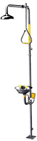 Speakman SE-625 combination emergency shower and eyewash