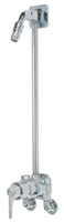 Exposed shower system 1-510