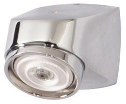 Symmons shower head
