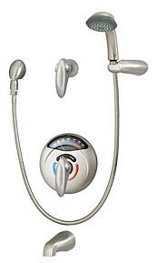 Visu-Temp with Clear-Vue Shower tub/shower system