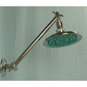 Click here for Hi-Lo Downpour shower head