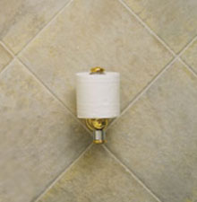 see how this grab bar can be used as a toilet paper holder example of the ten inch horizontal grab bar used as toilet paper holer