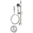 ADA compliant shower systems