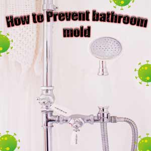 How to prevent bathroom mold and mildew