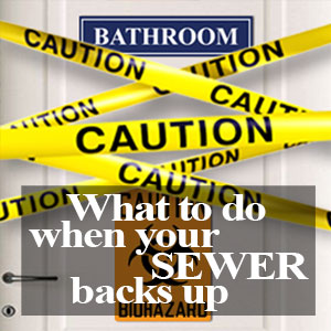 What To Do When Your Sewer Backs Up